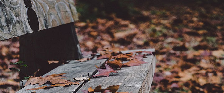 a park bench in the fall covered in fallen leaves